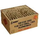 THE BIG FINAL 136'S COMPOUND 2e